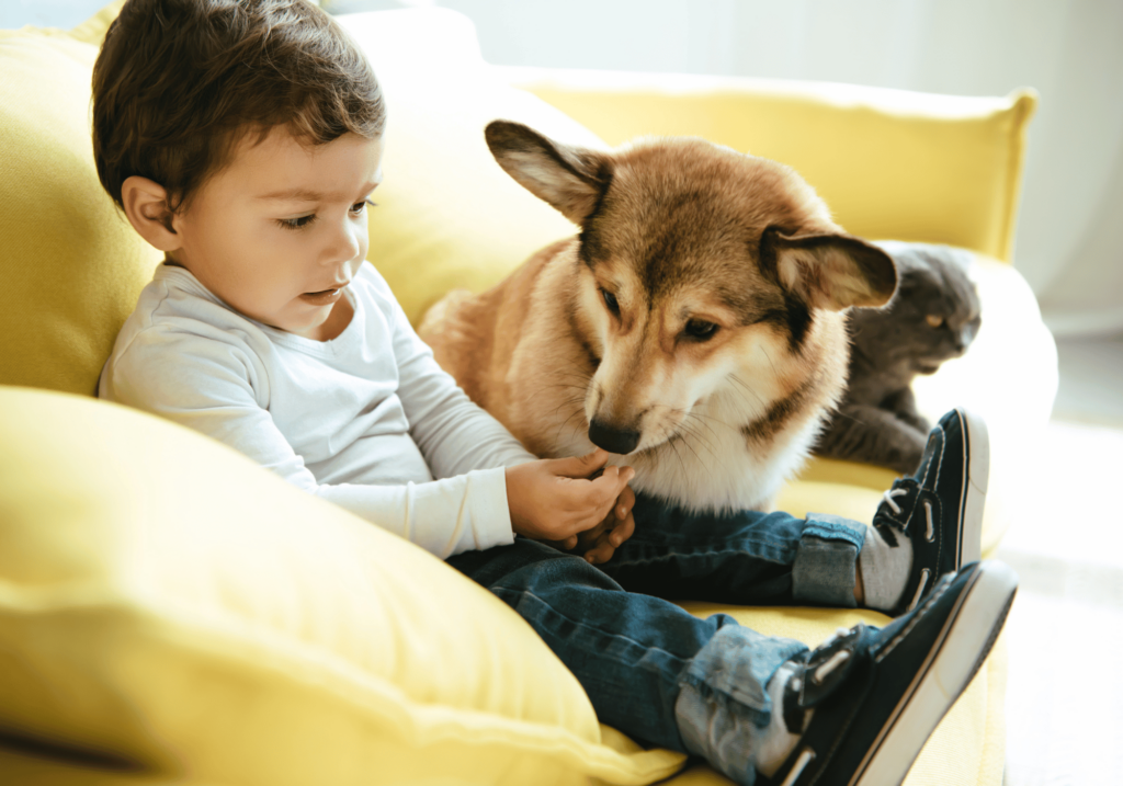 Una de las principales Post con las mejores recomendaciones para tener una mascota que damos siempre es crear un lazo entre la mascota y los niños