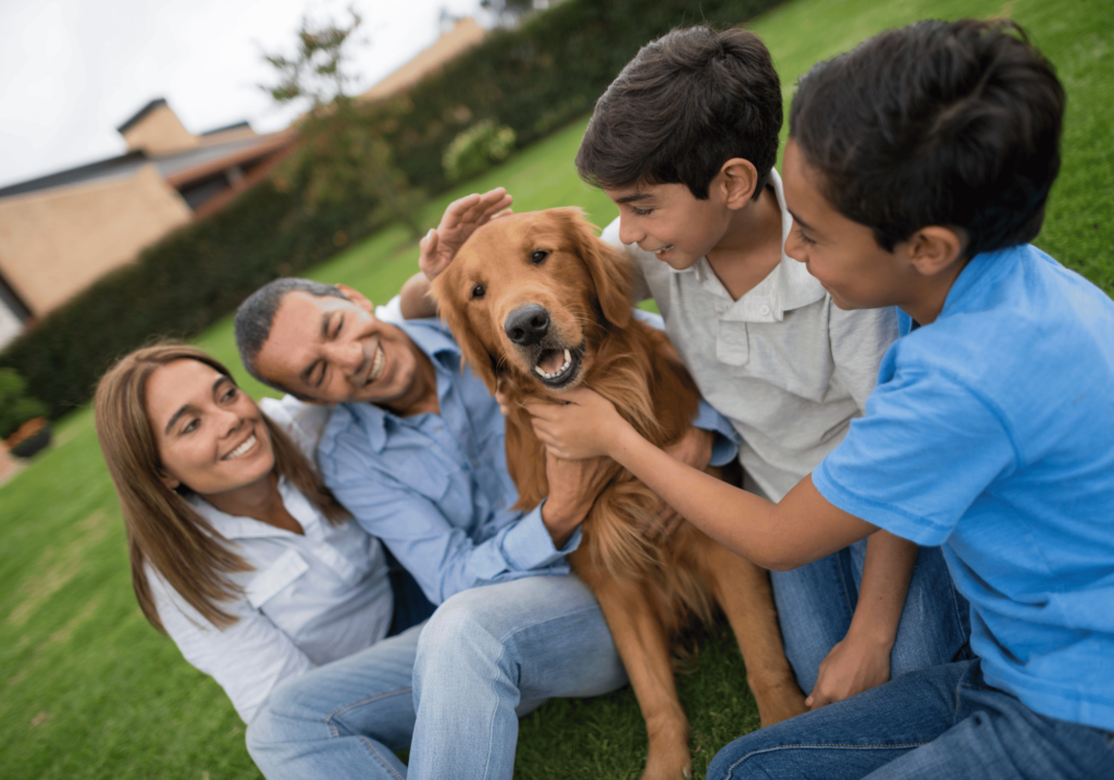 ¿como son los perros? Son seres extraordinariamente felices de compartir con los seres humanos