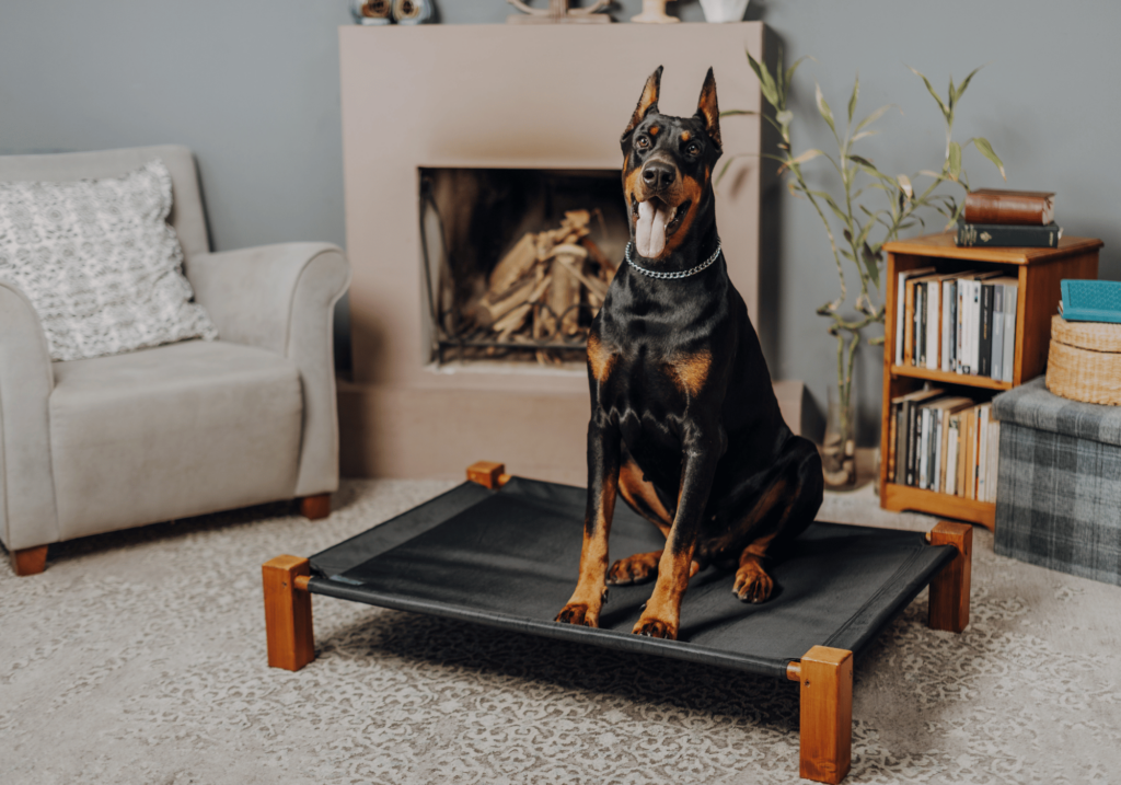 Las camas originales para perros deben estar limpias en todo momento por que eso ayuda a la estética de tu casa