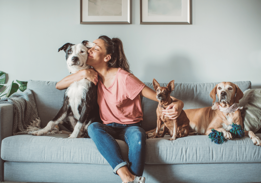 Descubre la importancia de la esterilización en mascotas y desmiente los mitos más comunes. Aprenda por qué es importante esterilizar a sus mascotas para su salud y bienestar.