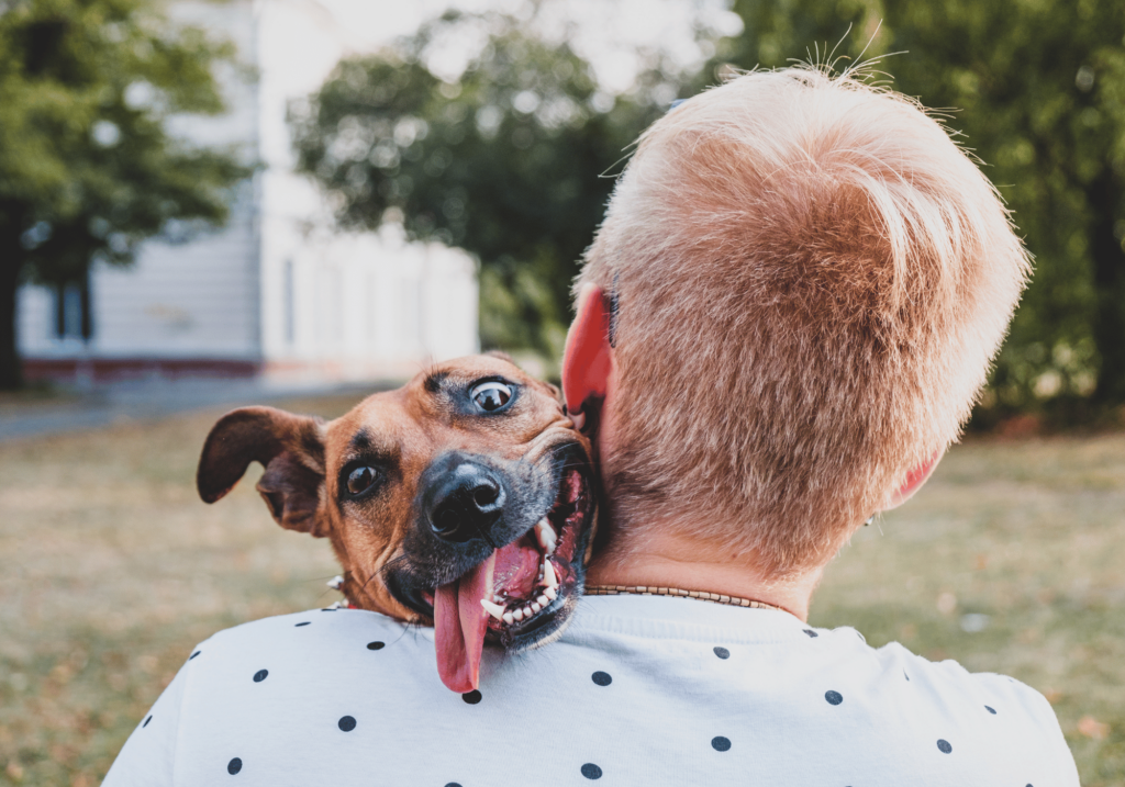 Descubra por qué las razas de perros pequeños se han convertido en una opción popular para la adopción. Descubra sus personalidades únicas y cómo pueden adaptarse a cualquier entorno. Salve una vida y traiga felicidad a su hogar.