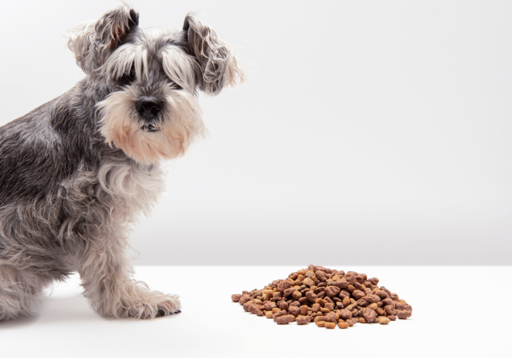 Descubra por qué los alimentos premium para perros son cruciales para su bienestar y aprenda a elegir la opción perfecta para su peludo amigo.