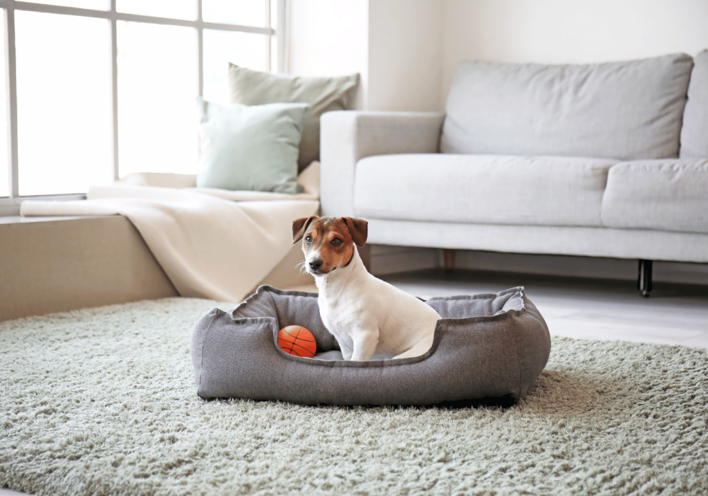 Descripción: Mantenga a su cachorro libre de estrés y cómodo con nuestras camas antiestrés para perros diseñadas específicamente para perros. Proporcione un ambiente seguro y acogedor para su amigo peludo.