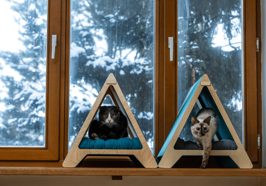 Descubra por qué una casa para gatos es esencial para el bienestar de su gato. Cree un espacio donde su gato pueda jugar, relajarse y sentirse seguro con una casa para gato adecuada.