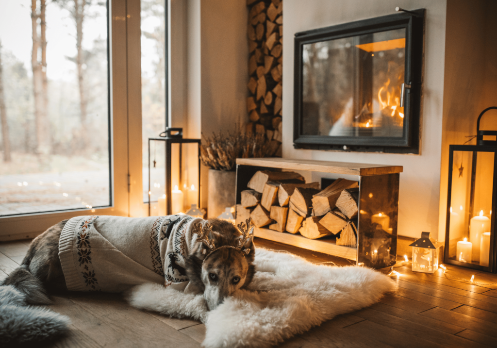 Aprenda a cuidar adecuadamente a sus mascotas en invierno. Desde la protección de las razas más sensibles hasta la adaptación a su comportamiento.