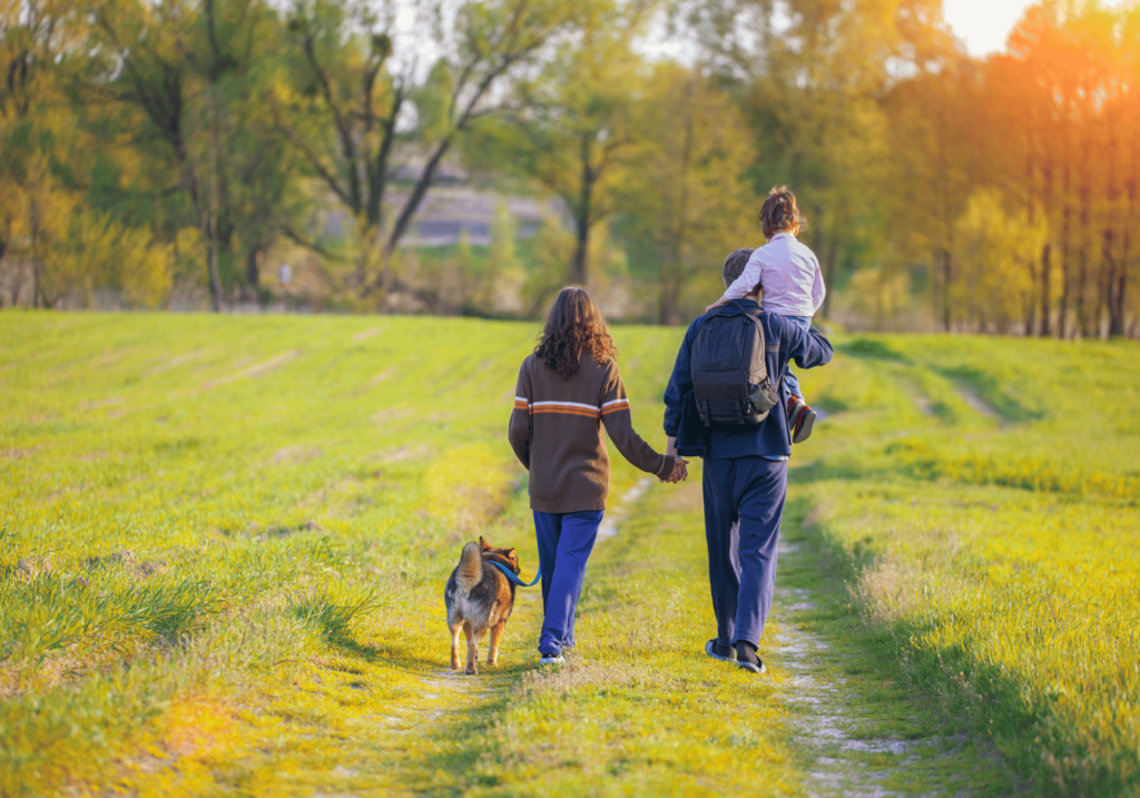 Conozca los tipos más comunes de alergias en mascotas, sus síntomas, causas y cómo prevenirlas y tratarlas. Mantenga a su mascota feliz y sana con nuestra completa guía.